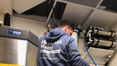 Team Member Working Photo